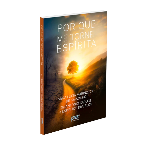 01- POR QUE ME TORNEI ESPÍRITA